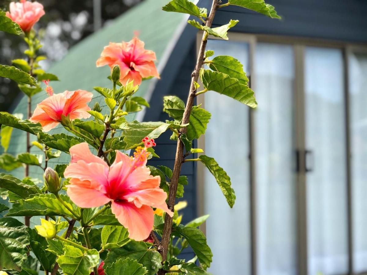 Rangi Moana Villa Hanga Roa Dış mekan fotoğraf